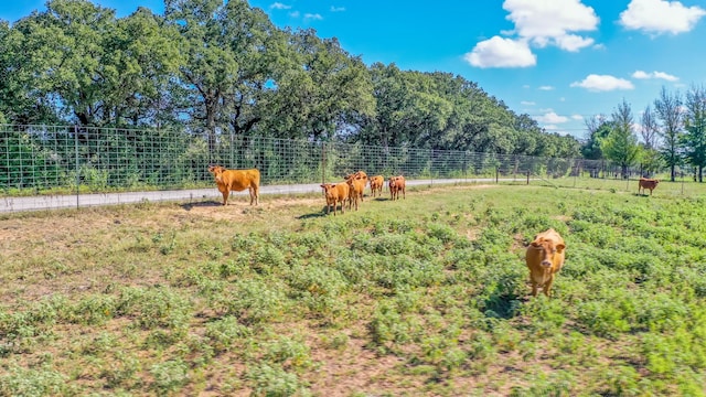 Listing photo 2 for TBD County Road 290, Rising Star TX 76471