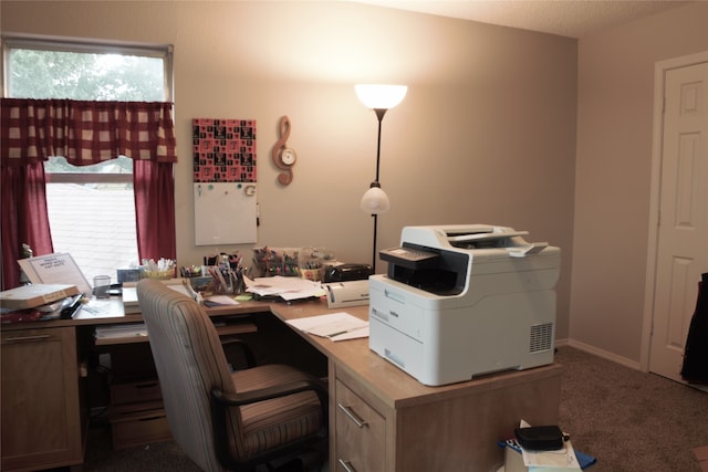 home office featuring carpet