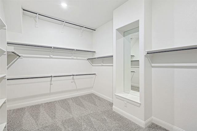 spacious closet featuring carpet floors