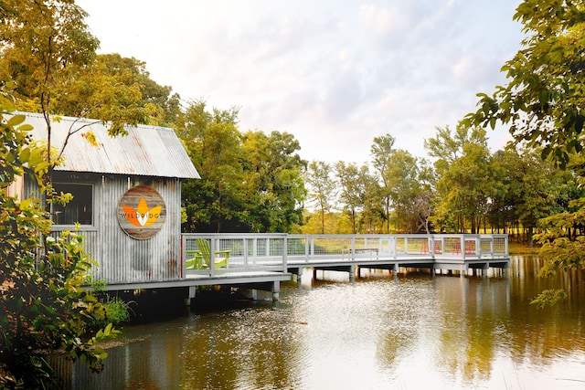 dock area with a water view