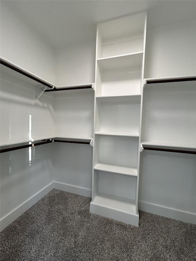 spacious closet with dark colored carpet