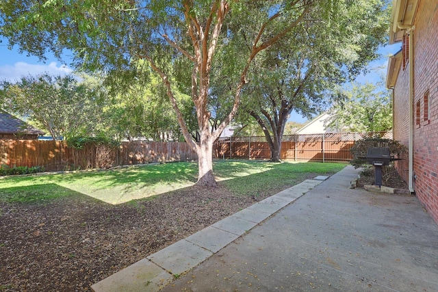 view of yard with a patio