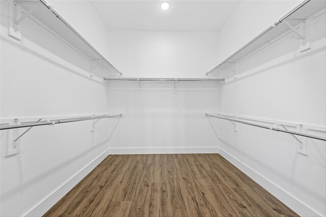 spacious closet featuring dark hardwood / wood-style floors