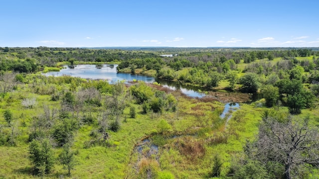 TBD County Road 300, Gorman TX, 76454 land for sale