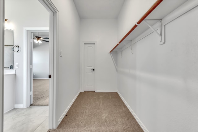 walk in closet featuring light carpet and ceiling fan