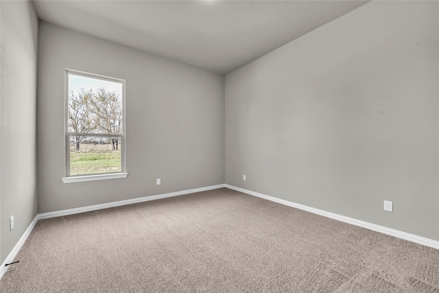 empty room featuring carpet floors