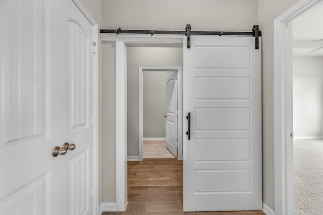 hallway with hardwood / wood-style flooring and a barn door