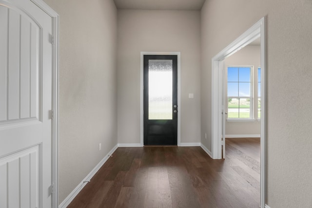 foyer entrance featuring dark hardwood / wood-style floors