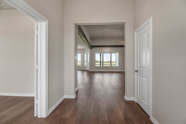 hall with dark wood-type flooring