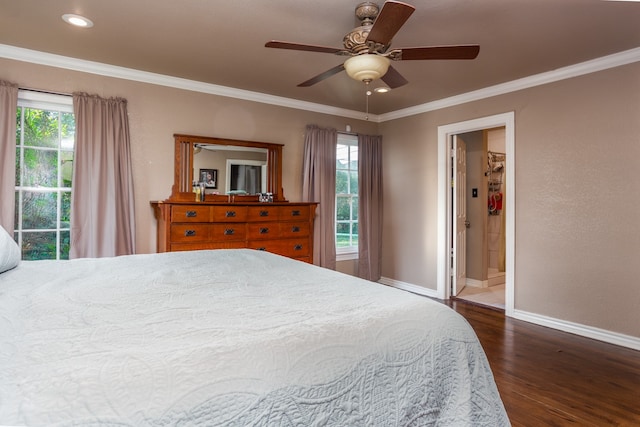 bedroom featuring connected bathroom, ceiling fan, multiple windows, and dark hardwood / wood-style flooring