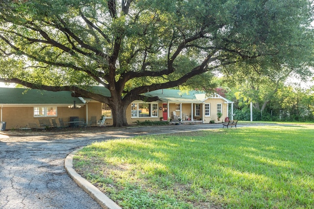 ranch-style house with a front yard