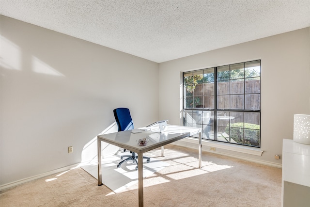 unfurnished office featuring light colored carpet and a textured ceiling