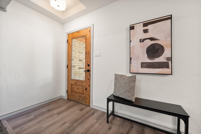 foyer entrance featuring wood-type flooring and a tray ceiling