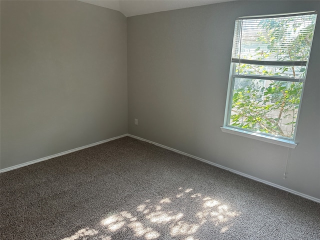 carpeted spare room with a wealth of natural light