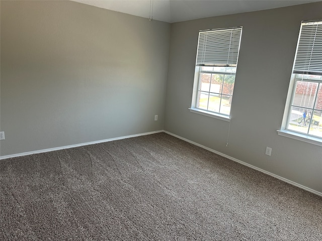 unfurnished room featuring a healthy amount of sunlight and carpet flooring