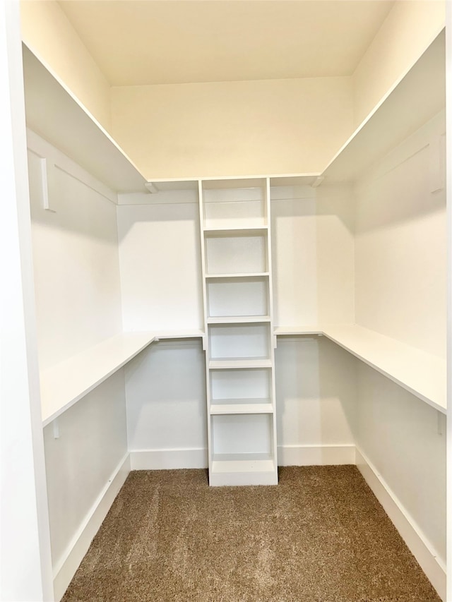 walk in closet featuring carpet