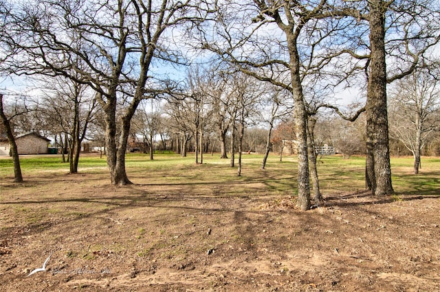 TBD Sandpiper Dr, Clyde TX, 79510 land for sale