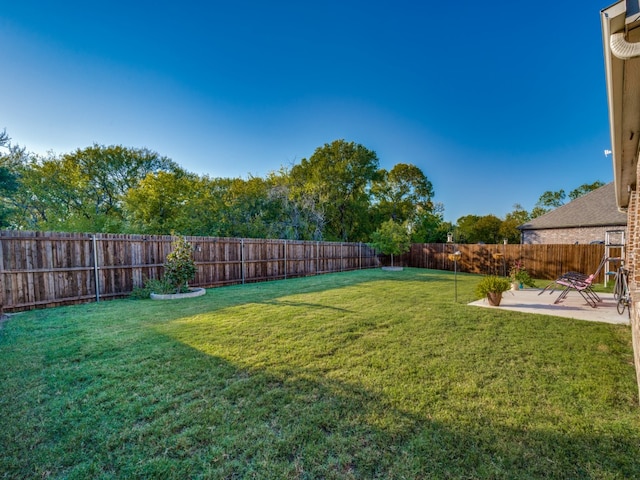 view of yard featuring a patio