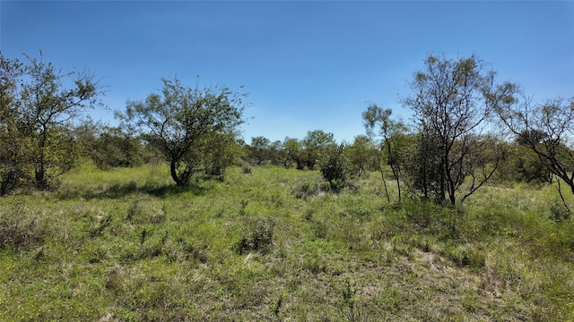 Listing photo 2 for 15ACTBD, TRACT3 County Road 186, Gorman TX 76454