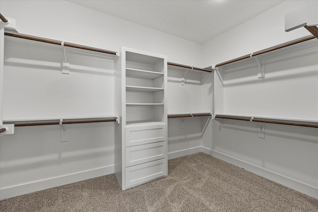 spacious closet featuring light carpet