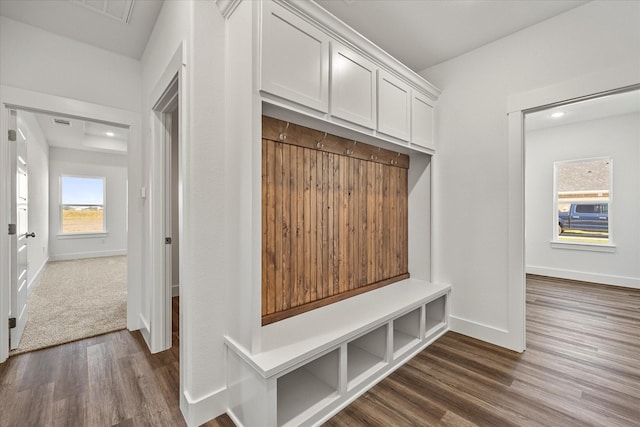 mudroom featuring dark hardwood / wood-style floors