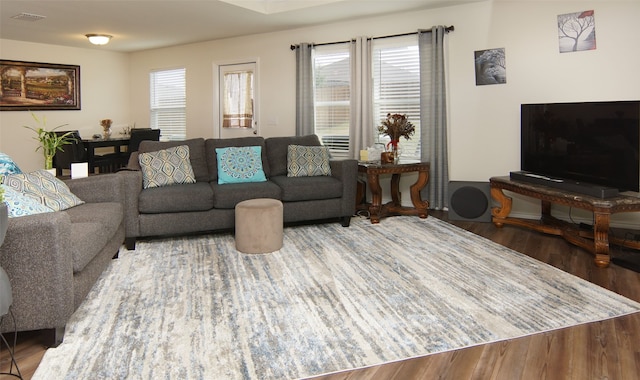 living room with wood-type flooring and a wealth of natural light