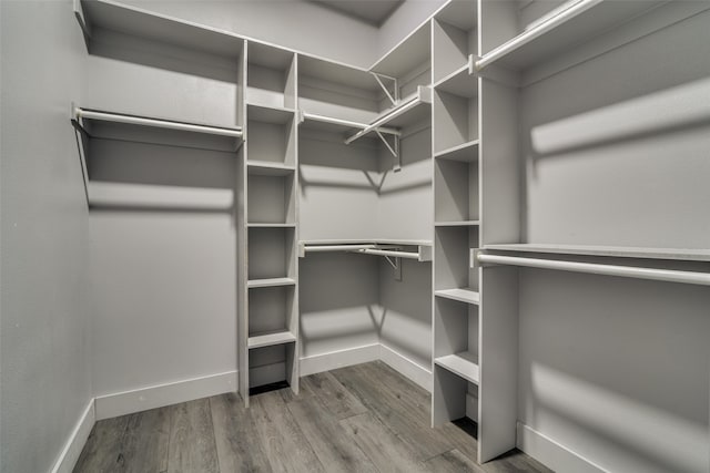 spacious closet featuring wood-type flooring