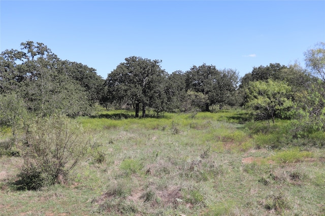 15ACTBD, TRACT5 County Road 195, Gorman TX, 76454 land for sale