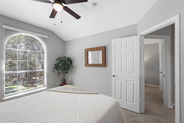 carpeted bedroom with ceiling fan, vaulted ceiling, and multiple windows