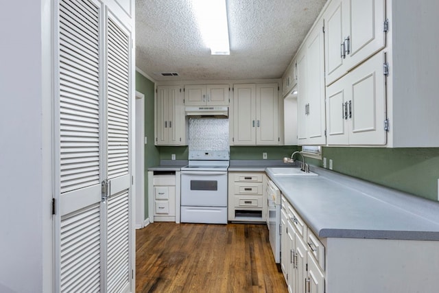 kitchen with sink, white appliances, a textured ceiling, white cabinetry, and dark hardwood / wood-style flooring