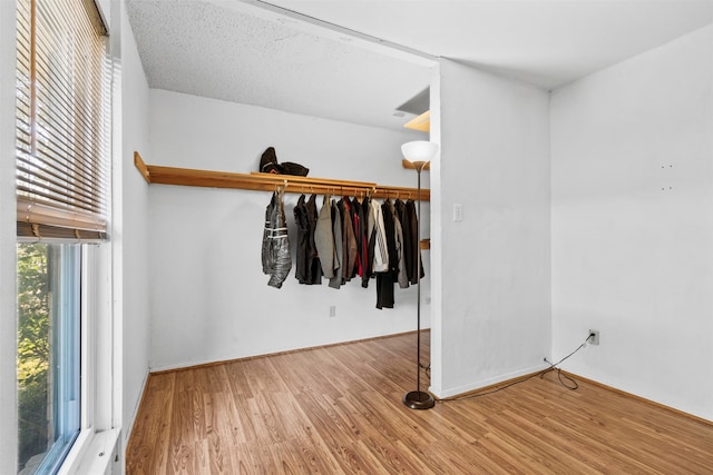 walk in closet featuring wood-type flooring