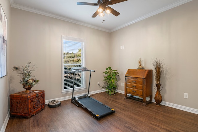 exercise area featuring dark hardwood / wood-style floors, ceiling fan, and ornamental molding