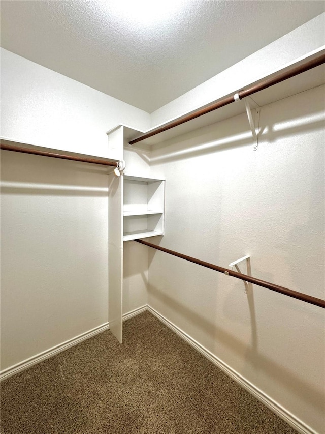 spacious closet featuring carpet floors