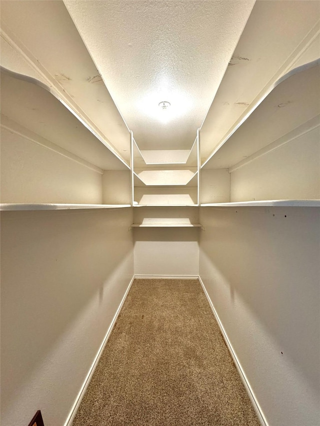 spacious closet with carpet