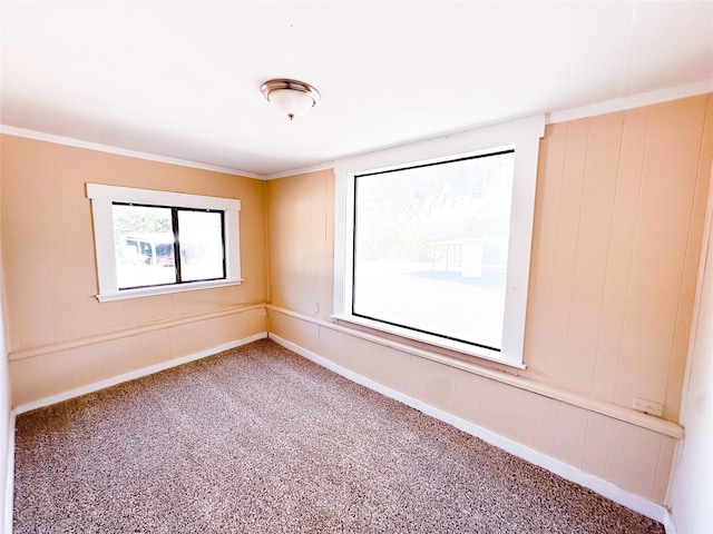 carpeted empty room with crown molding