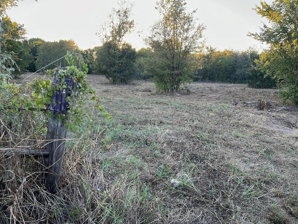 view of yard with a rural view