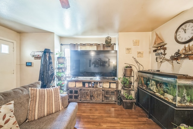 living room featuring ceiling fan and dark hardwood / wood-style floors