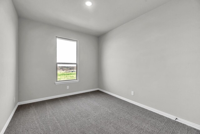 unfurnished room with carpet floors