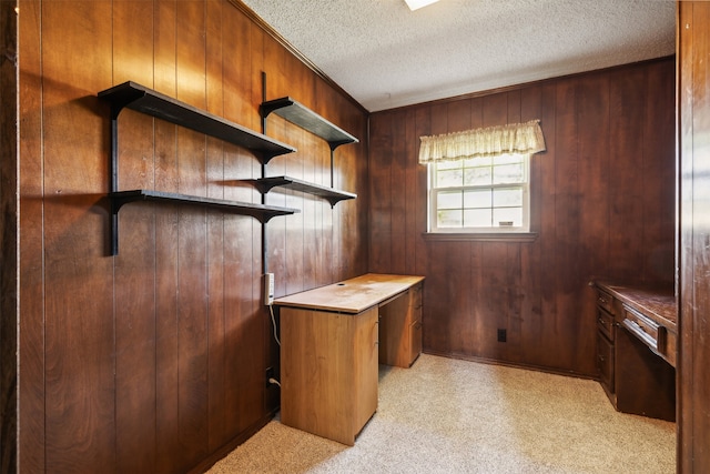 interior space featuring light colored carpet, a textured ceiling, and wood walls