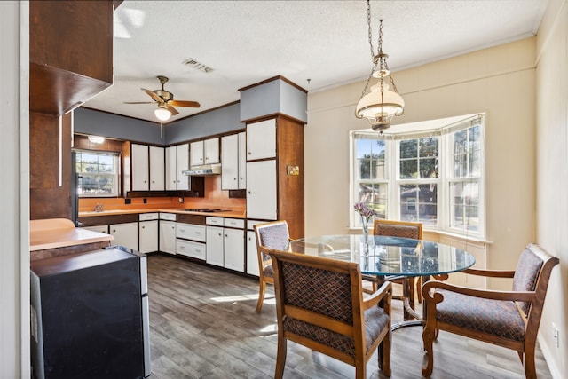 kitchen with ceiling fan, white cabinets, a textured ceiling, decorative light fixtures, and dark hardwood / wood-style flooring