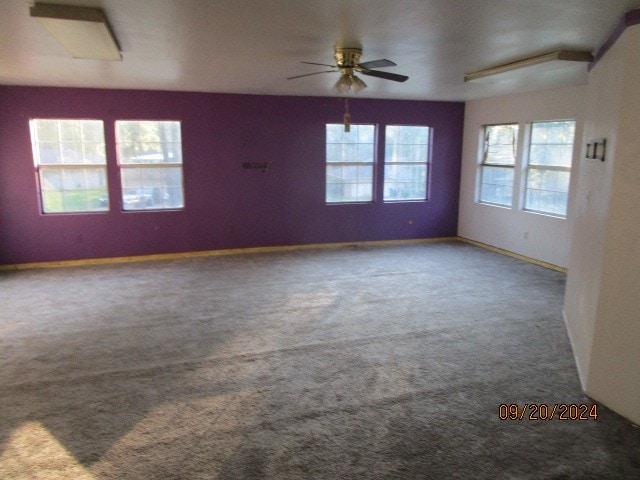 spare room featuring carpet and ceiling fan