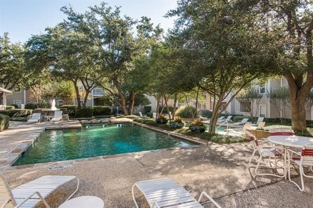 view of pool featuring a patio area