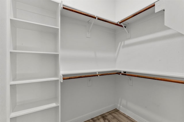 spacious closet with light wood-type flooring