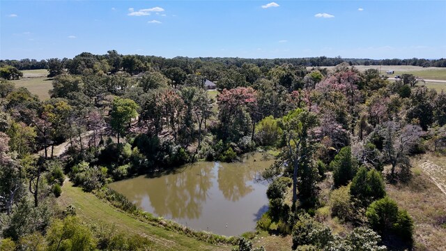 7226 County Road 1504, Athens, TX 75751 - drone / aerial view of a large body of water and a heavily wooded area