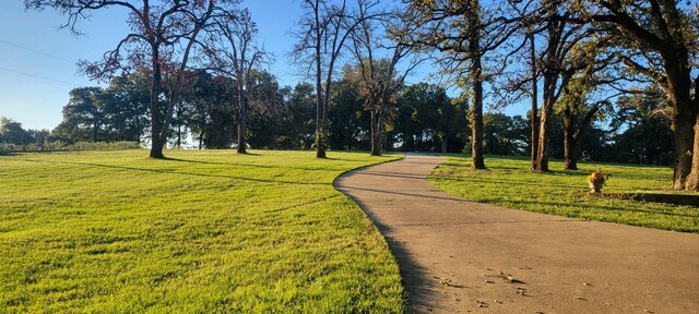 7226 County Road 1504, Athens, TX 75751 - view of community with a yard