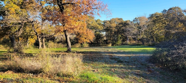 7226 County Road 1504, Athens, TX 75751 - view of local wilderness
