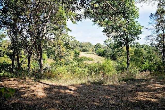 view of landscape