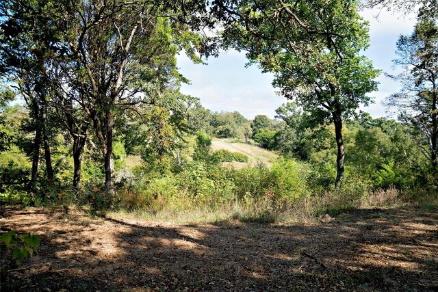 7226 County Road 1504, Athens, TX 75751 - view of woods