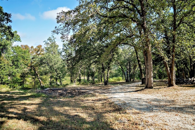 view of landscape