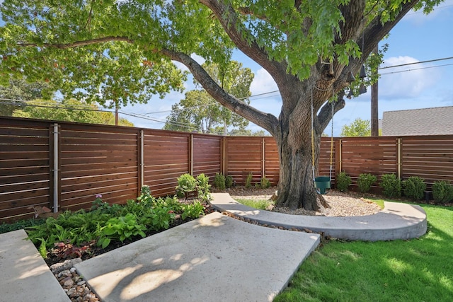 view of yard featuring a patio area